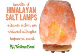 What are Salt Lamps?