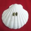 cardamom, mohini elaichi attraction remedy, mohini vashikaran Mohini Elaichi