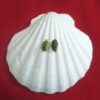mohini mantra cardamom, mohini elaichi attraction remedy, mohini vashikaran elaichi Mohini Elaichi
